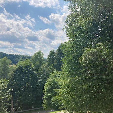 Sara Apartament Z Sauna Ustroń Exteriör bild