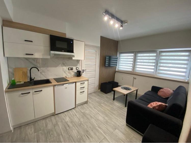 Sara Apartament Z Sauna Ustroń Exteriör bild